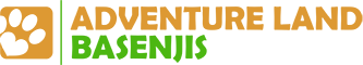 Adventure Land Basenjis
